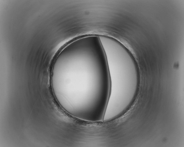 X0000090780838200707201133