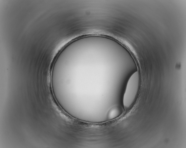 X0000090780839200707201133
