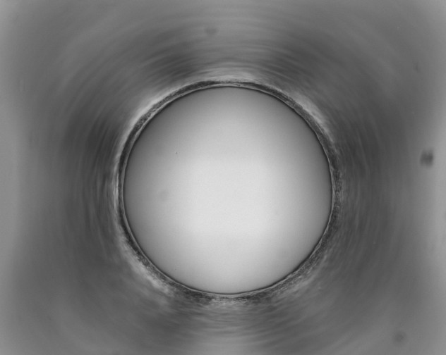 X0000090780840200707201133