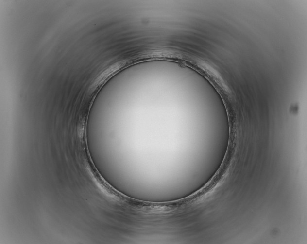 X0000090780841200707201133