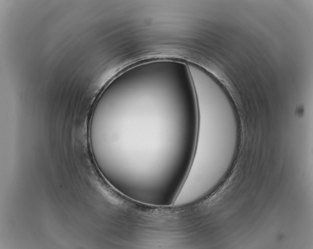X0000090780842200707201133