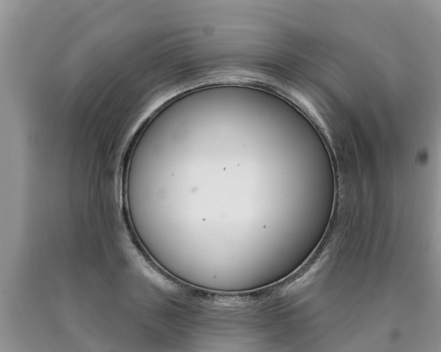 X0000090780843200707201133