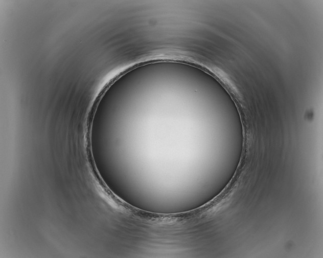 X0000090780846200707201133
