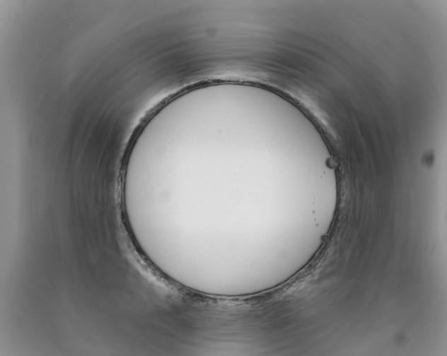 X0000090780848200707201133