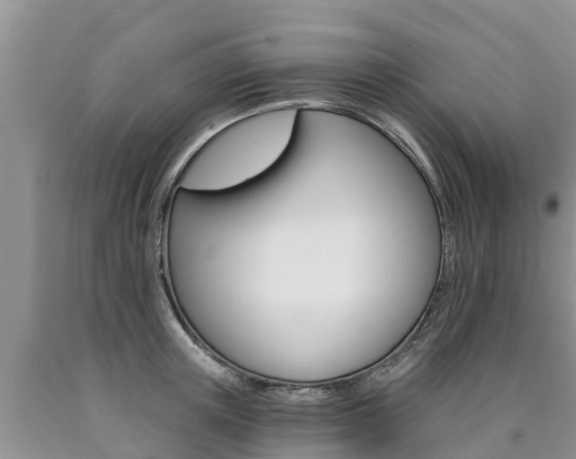 X0000090780851200707201133