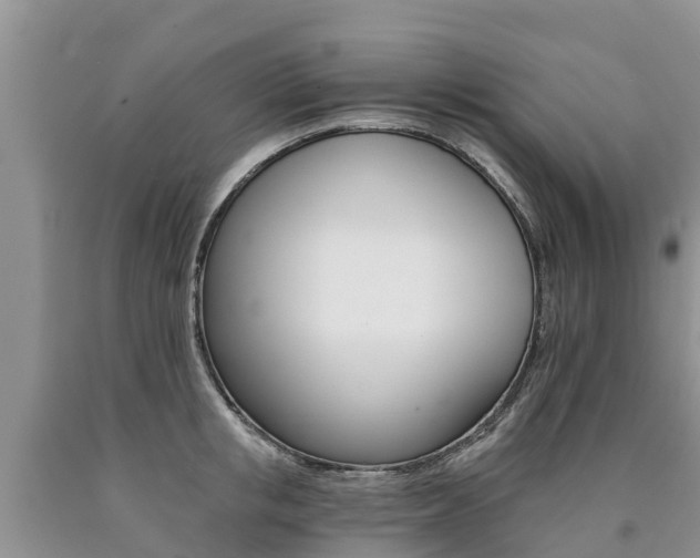 X0000090780853200707201133