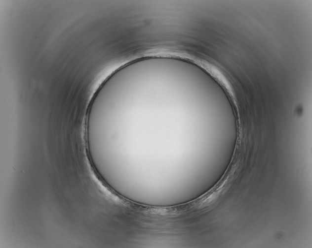 X0000090780855200707201133