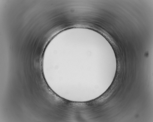 X0000090780856200707201133