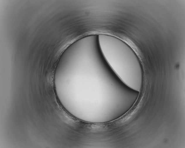 X0000090780857200707201133