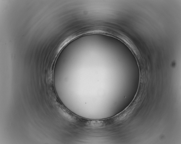 X0000090780858200707201133
