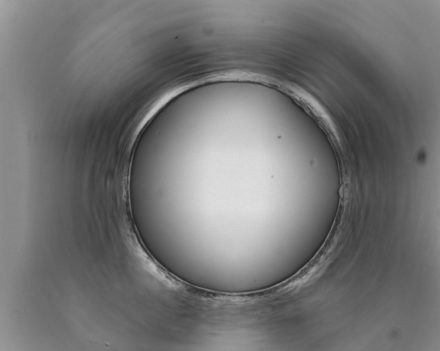 X0000090780860200707201133