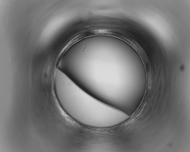 X0000090780861200707201133