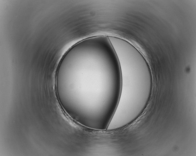 X0000090780862200707201133