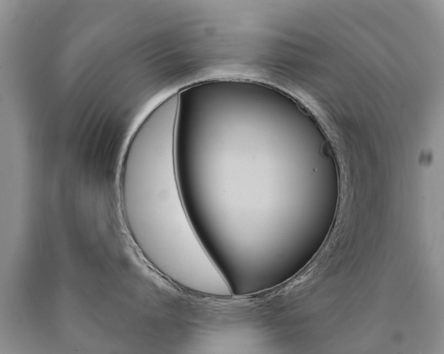 X0000090780864200707201133