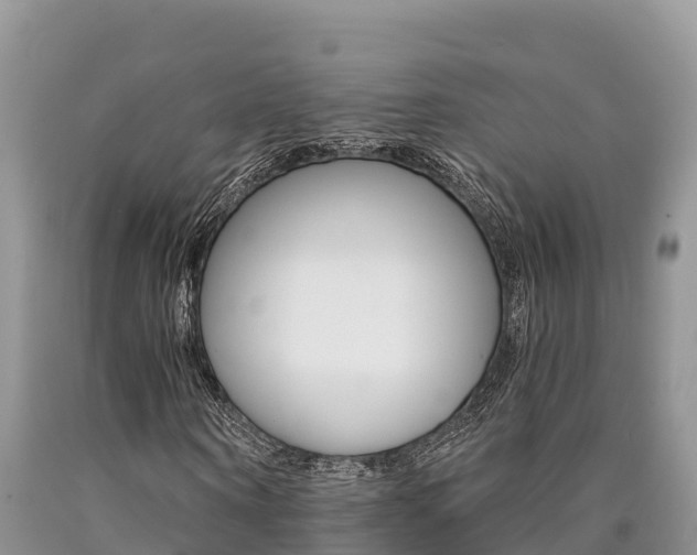 X0000090780866200707201133