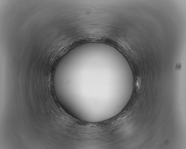 X0000090780867200707201133