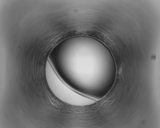 X0000090780868200707201133