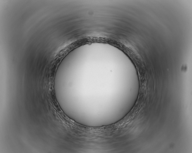 X0000090780870200707201133