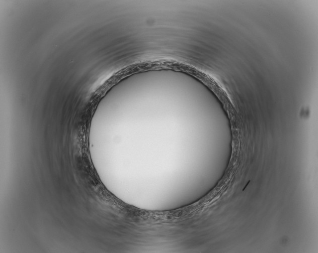 X0000090780871200707201133