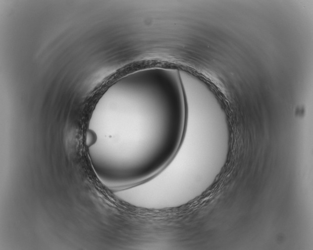X0000090780872200707201133