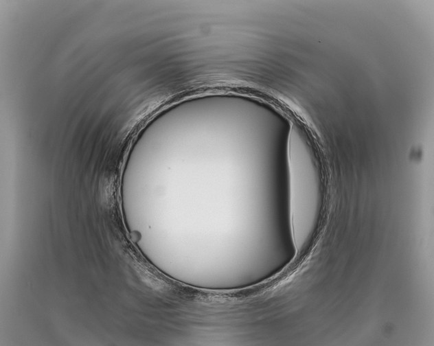 X0000090780873200707201133