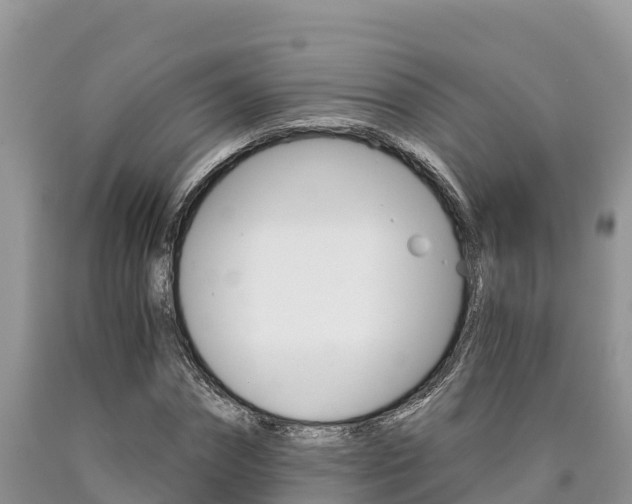 X0000090780874200707201133