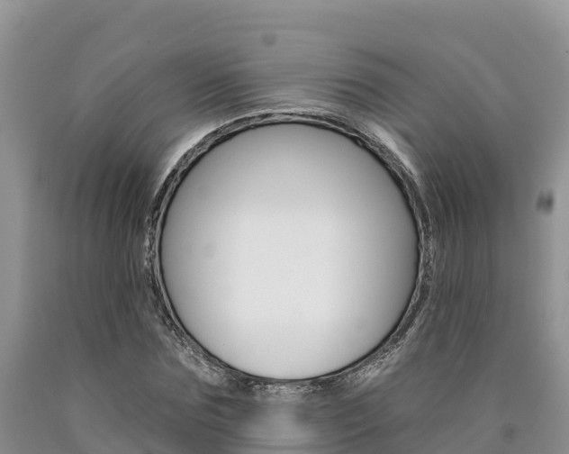 X0000090780875200707201133