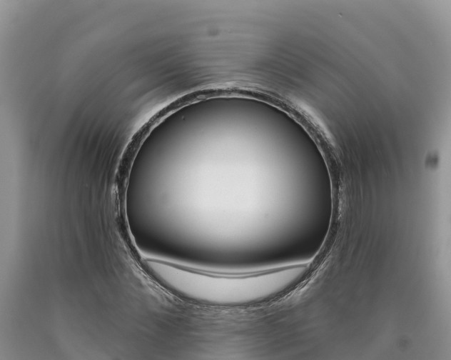 X0000090780876200707201133