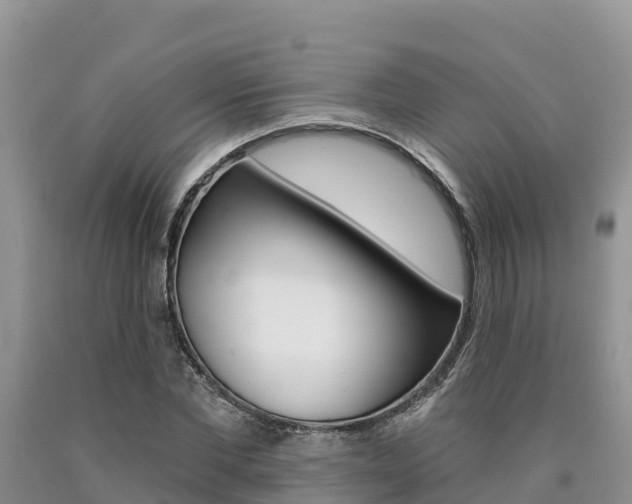 X0000090780877200707201133