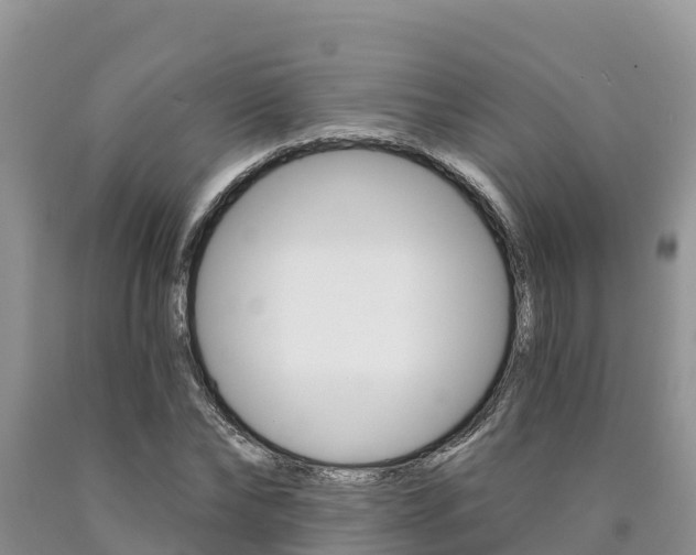 X0000090780878200707201133