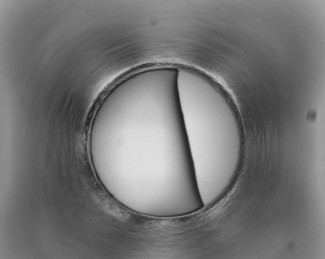 X0000090780879200707201133