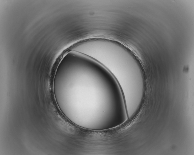 X0000090780880200707201133