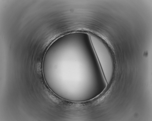 X0000090780881200707201133
