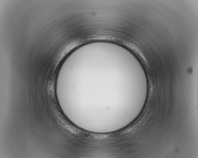 X0000090780882200707201133