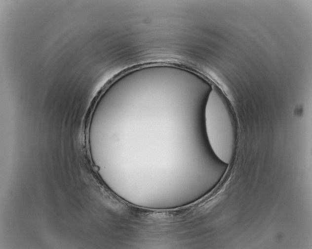 X0000090780883200707201133