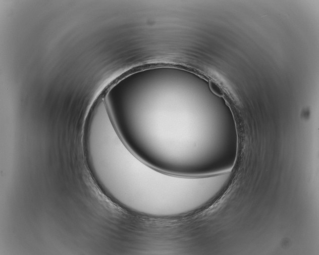 X0000090780884200707201133