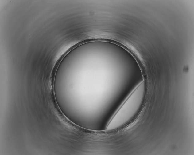 X0000090780885200707201133