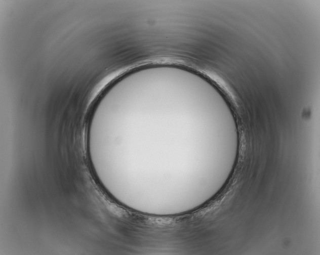 X0000090780886200707201133