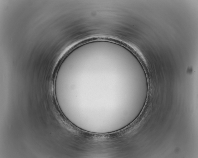 X0000090780887200707201133