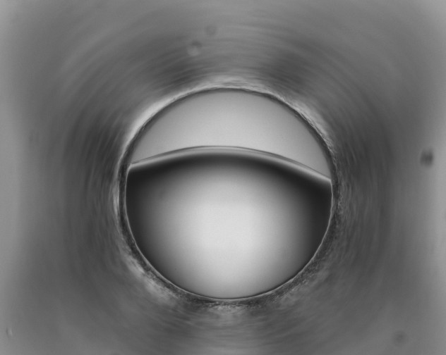 X0000090780888200707201133