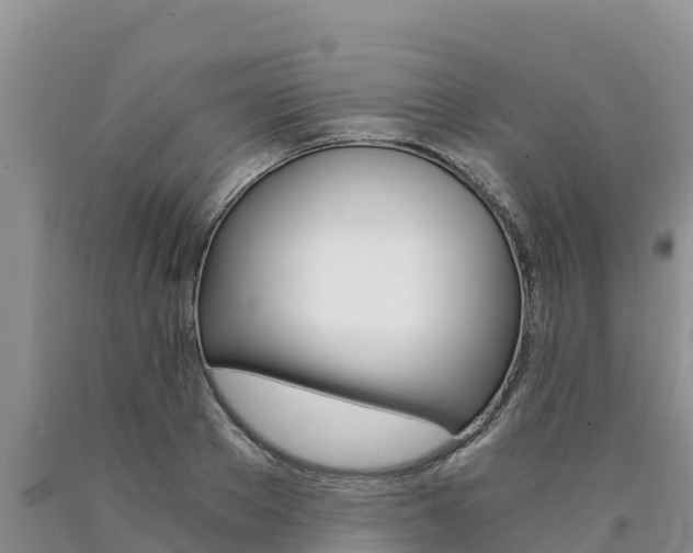 X0000090780889200707201132