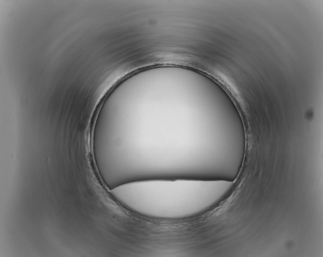 X0000090780891200707201132