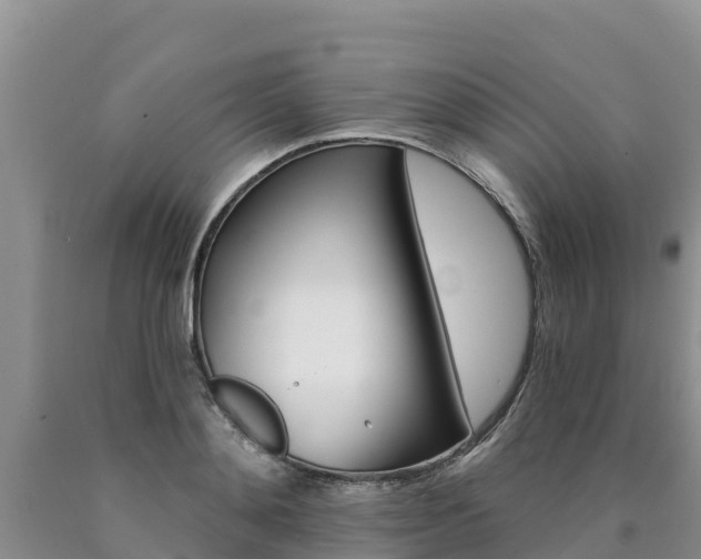 X0000090780892200707201132
