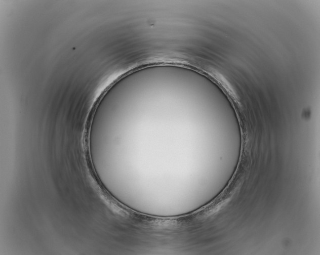 X0000090780893200707201132