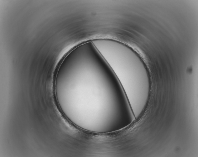 X0000090780894200707201132