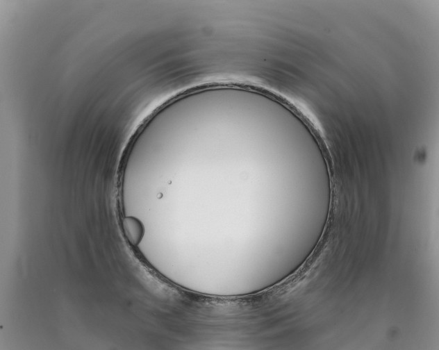 X0000090780895200707201132