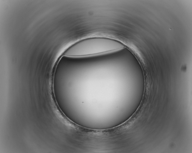 X0000090780896200707201132