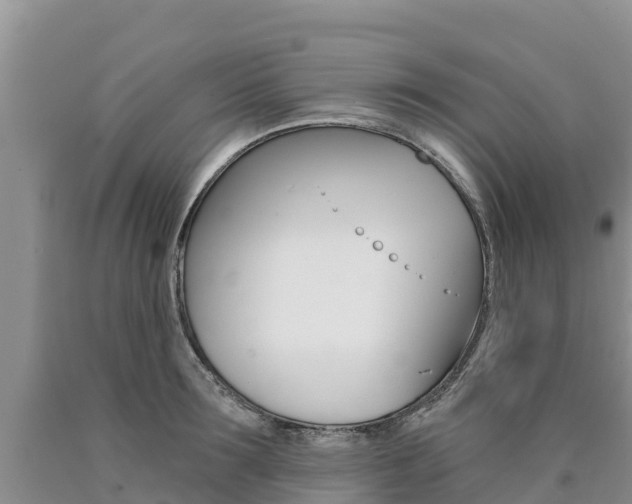 X0000090780899200707201132