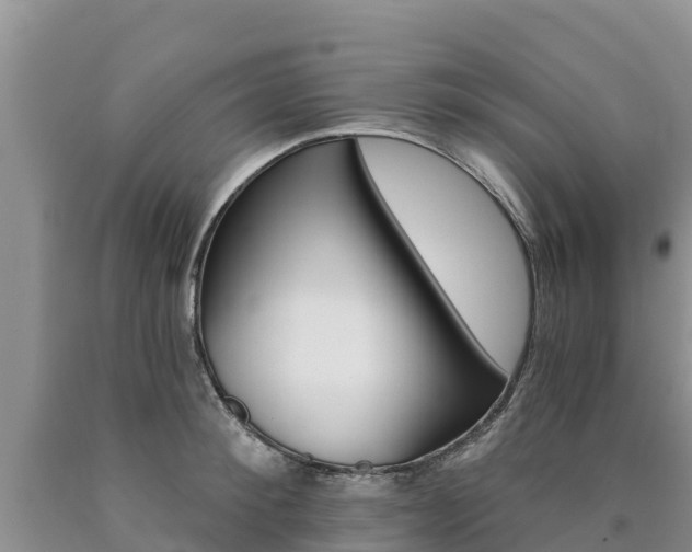 X0000090780900200707201132
