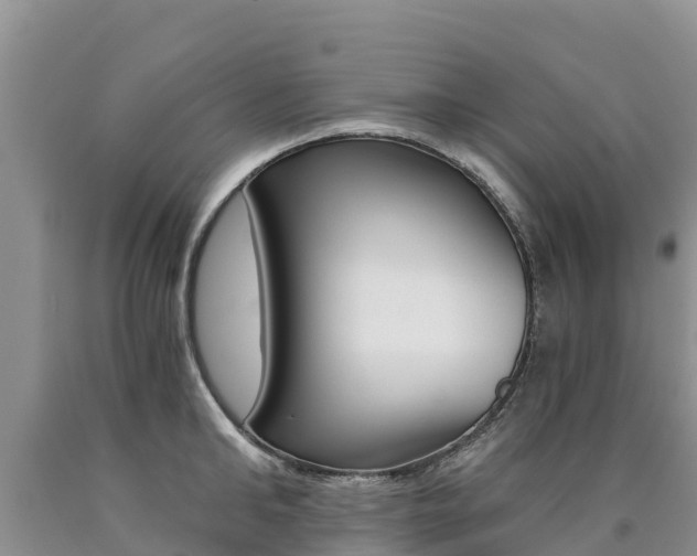 X0000090780902200707201132